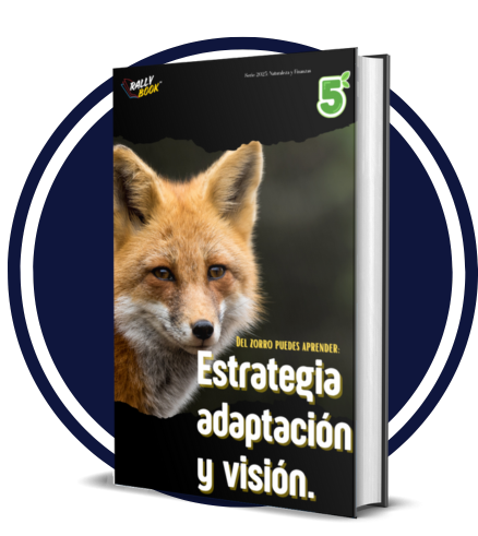 diseño sin título (26)