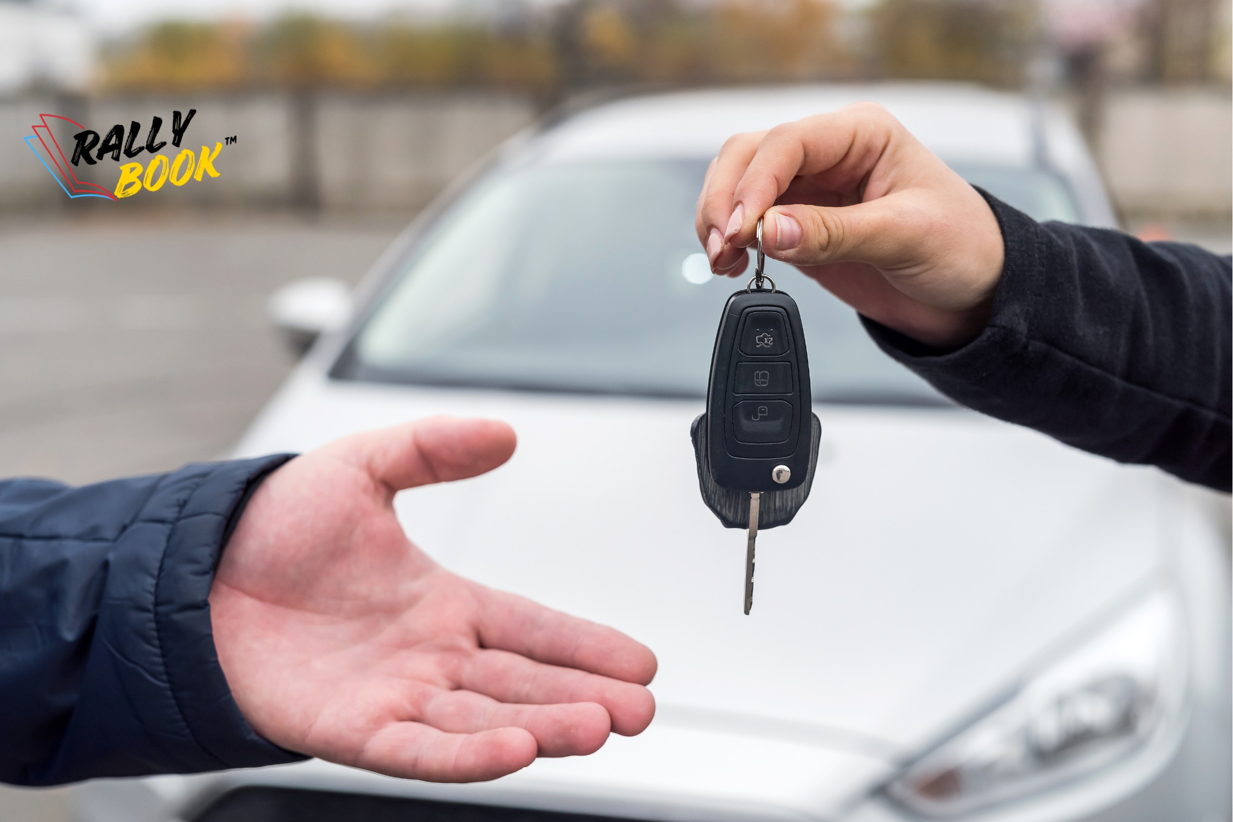 diseño sin título (28)