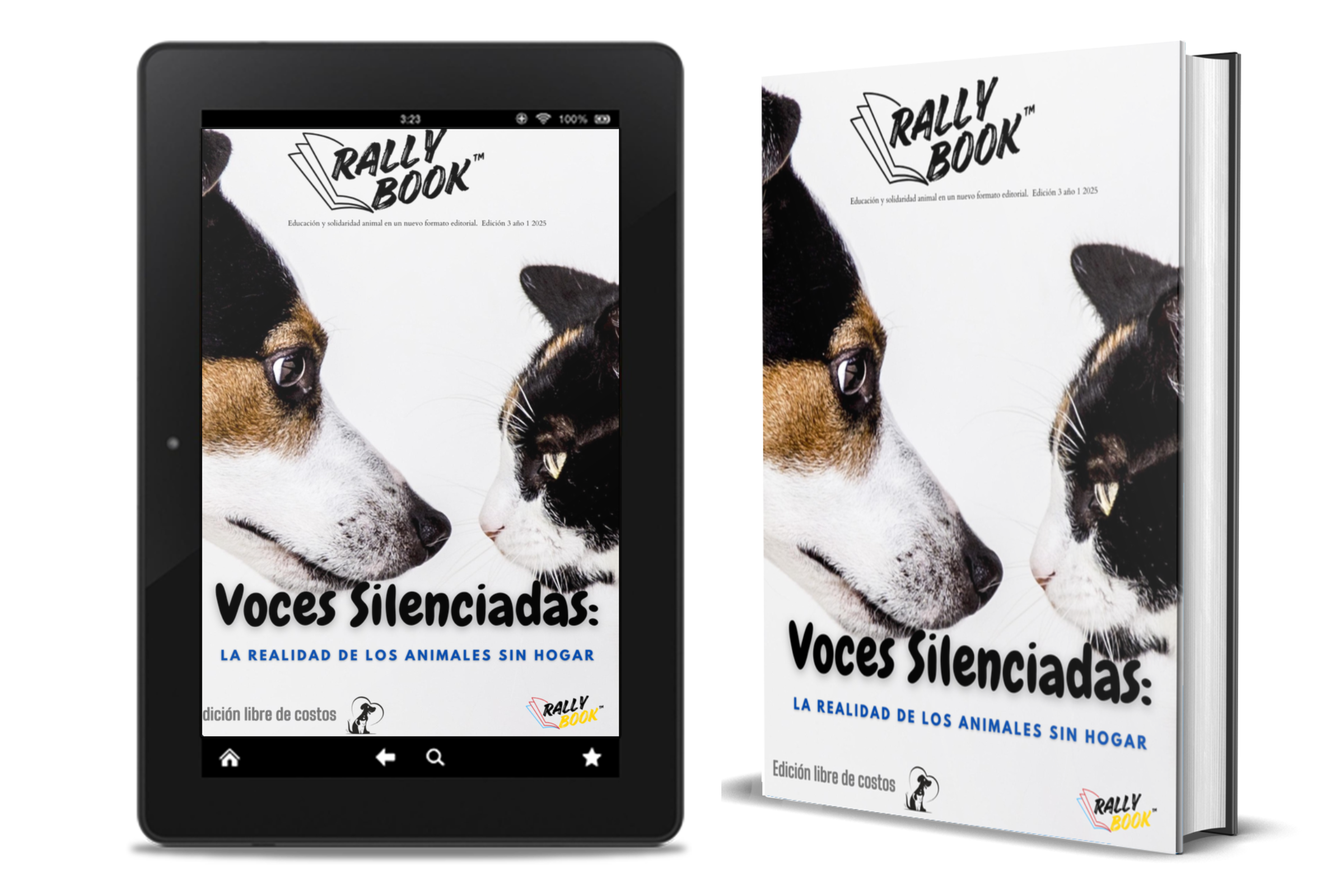 diseño sin título (30)