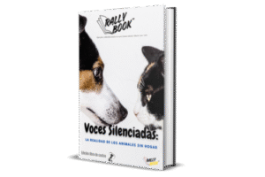 recompensas diseño sin título (31)